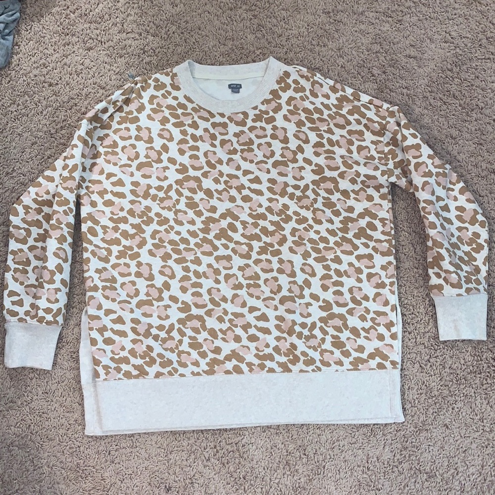 Aerie Sweatshirt